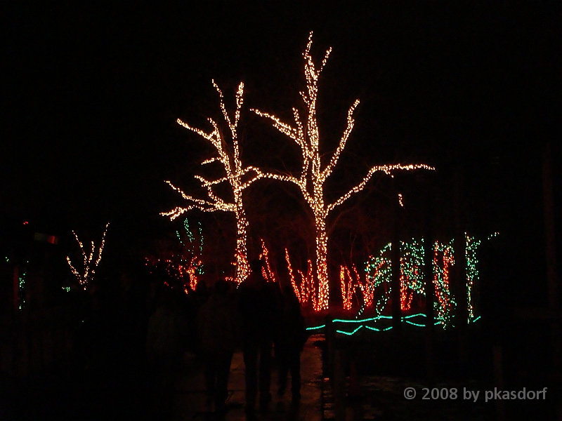 050 Toledo Zoo Light Show [2008 Dec 27].JPG - Scenes from the Toledo Zoo Light Show.